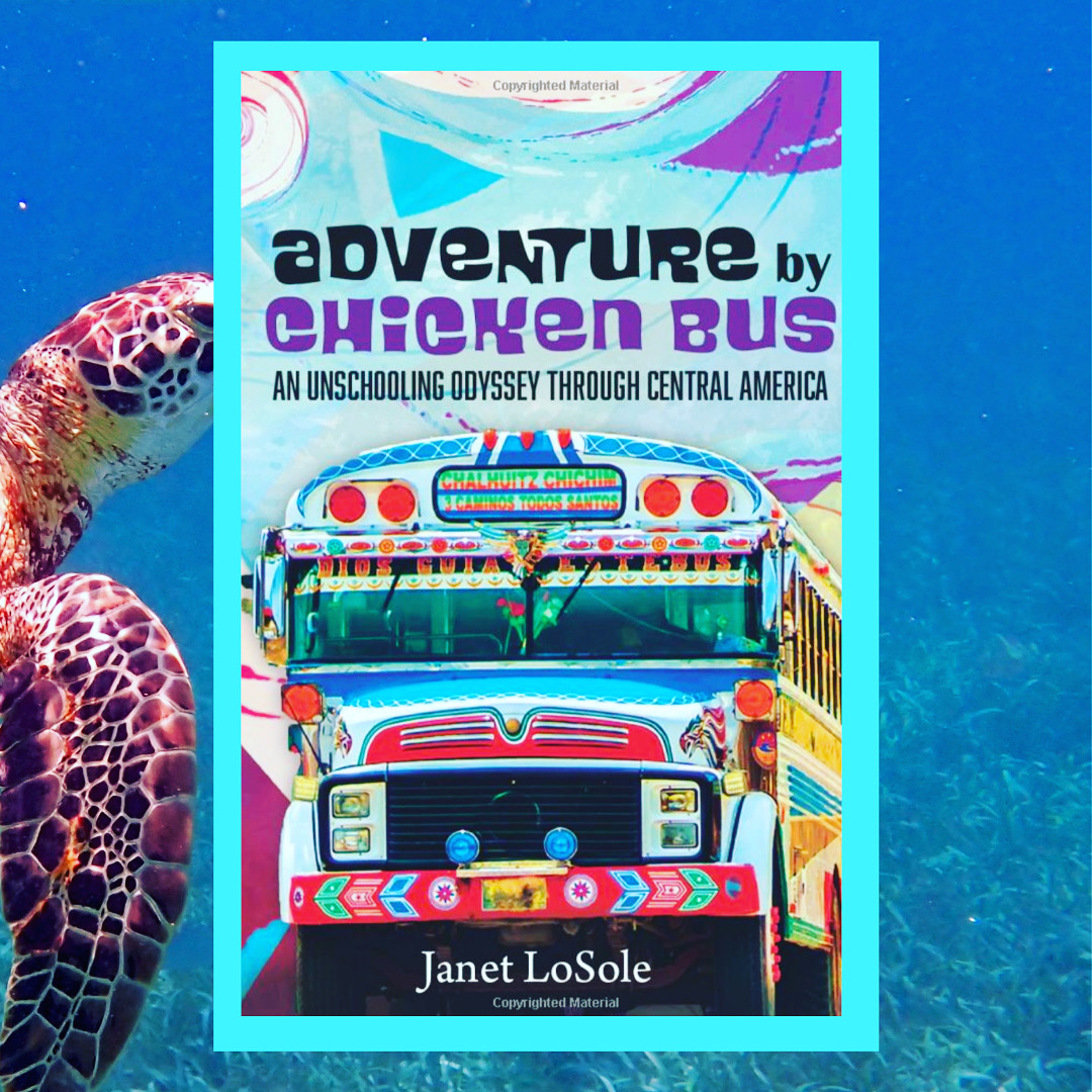 You are currently viewing Adventures by Chicken Bus