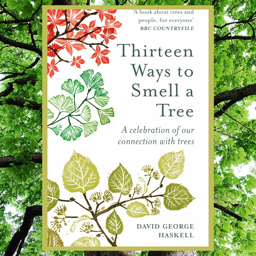 You are currently viewing Thirteen ways to smell a tree