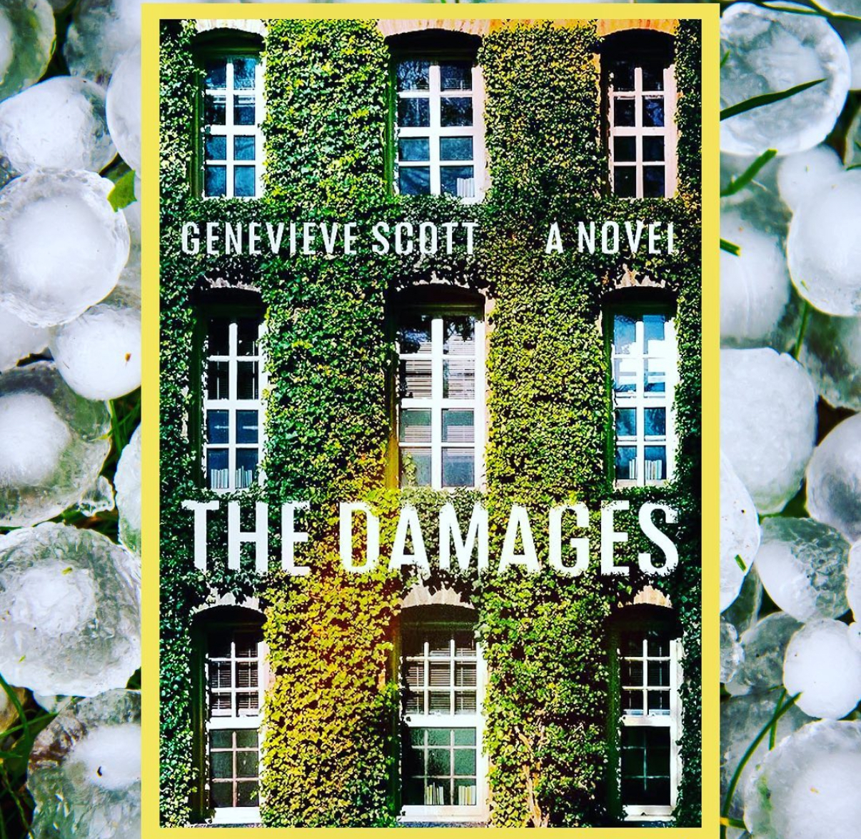 Read more about the article The Damages