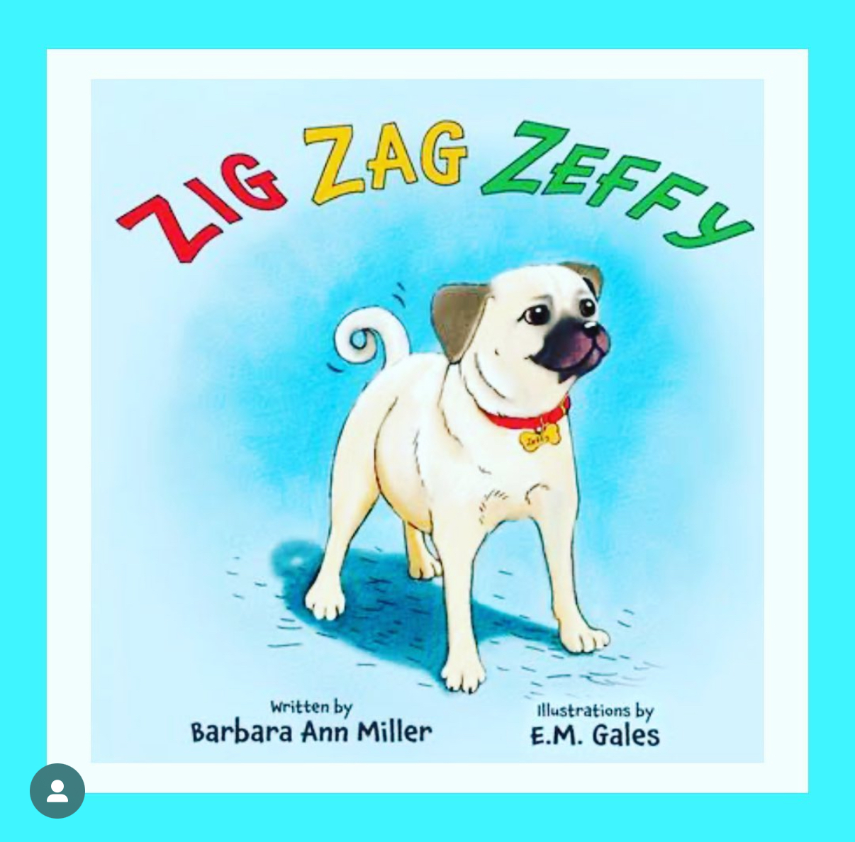 Read more about the article Zig Zag Zeffy