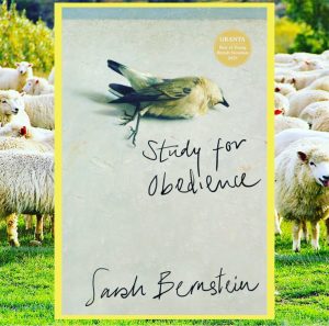 Read more about the article Study for Obedience