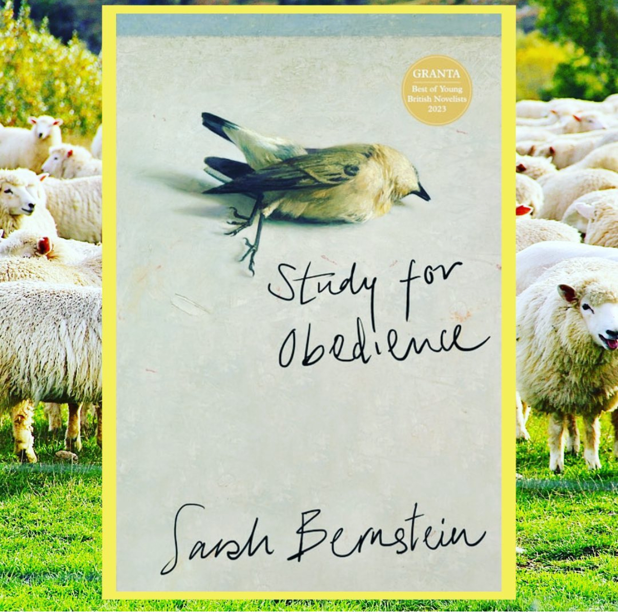 Read more about the article Study for Obedience
