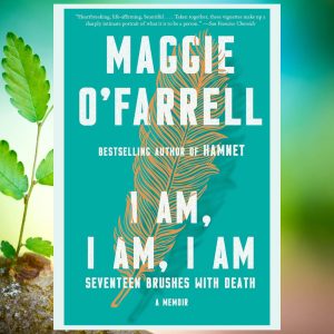 Read more about the article I am, I am, I am