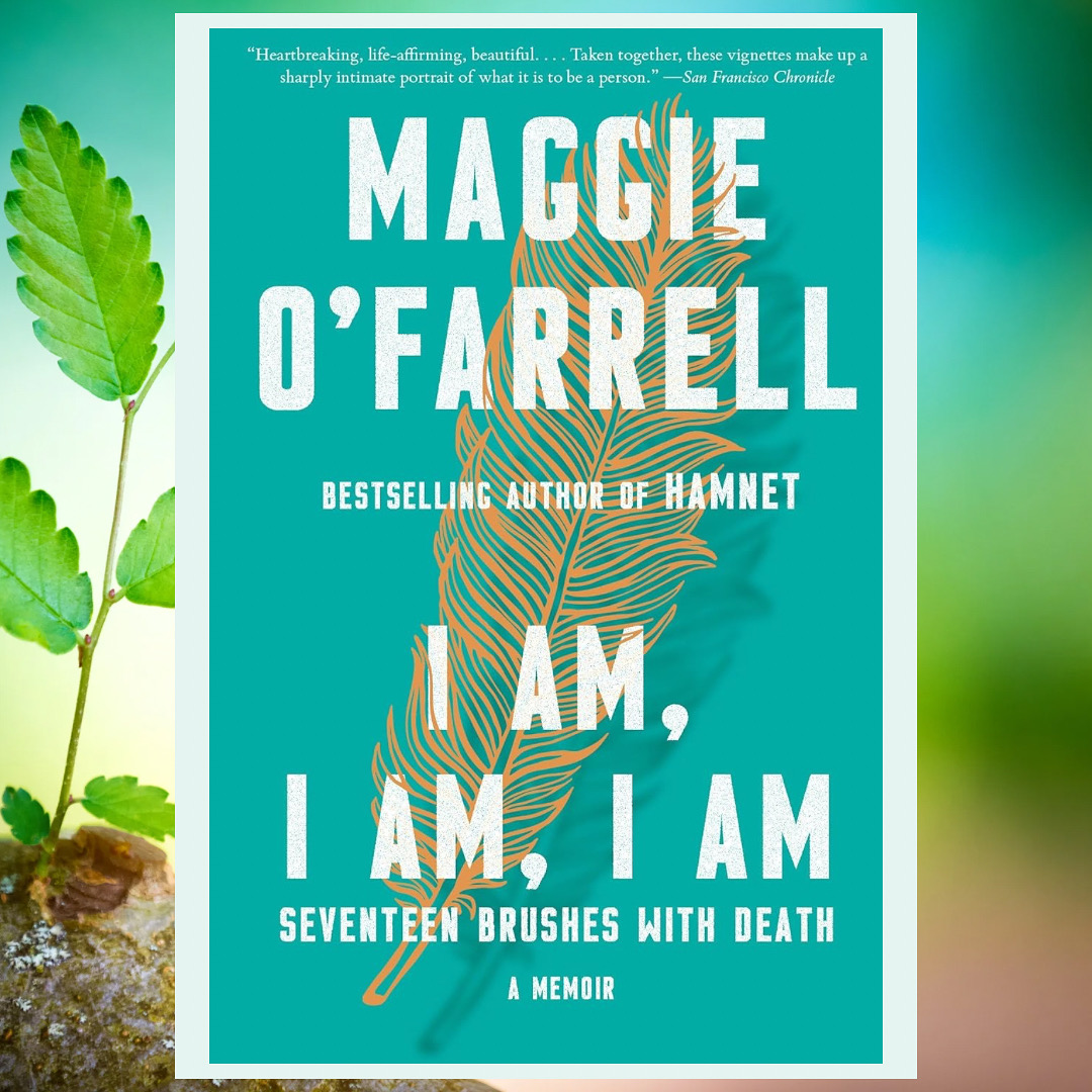 Read more about the article I am, I am, I am
