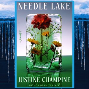 Read more about the article Needle Lake