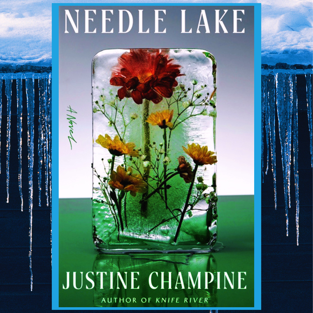 Read more about the article Needle Lake