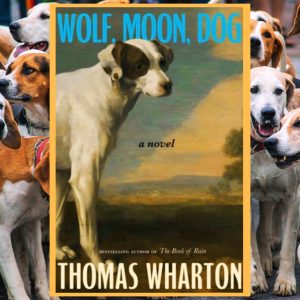 Read more about the article Wolf, Moon, Dog